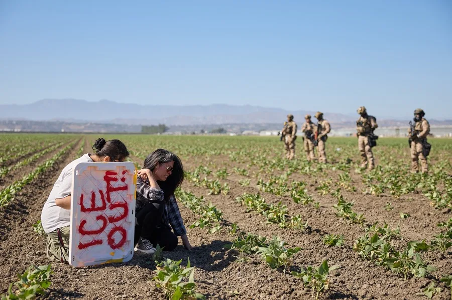Agricultores van a huelga por redadas migratorias