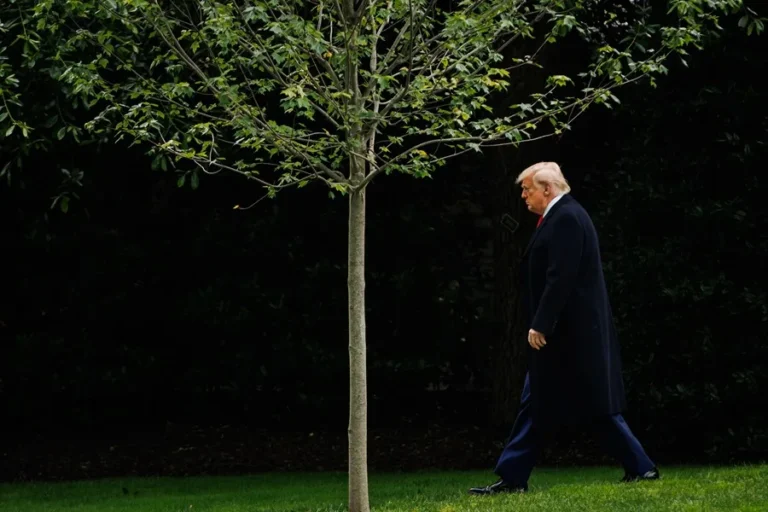 Trump celebra aumento de arrestos migratorios