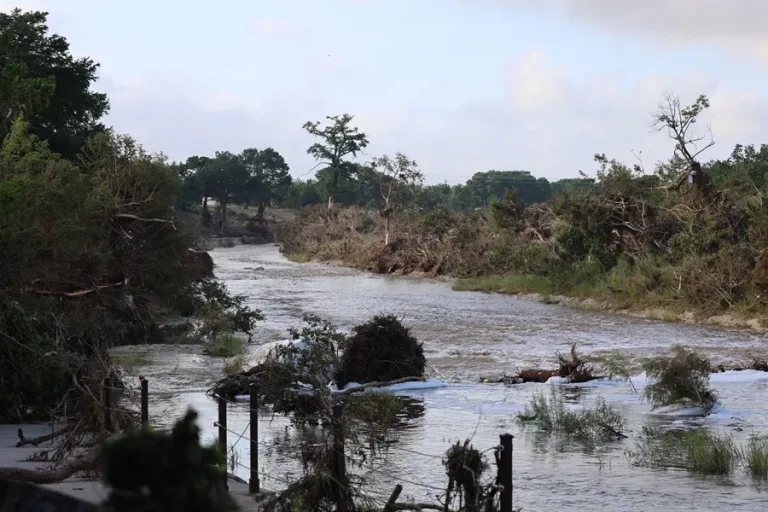 Conoce cómo ayudar a las víctimas tras inundaciones en Texas
