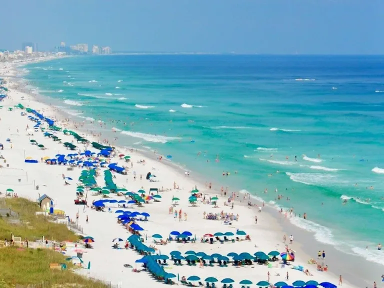 Florida en alerta: esto causa la bacteria "come carne" que ya mató a 4