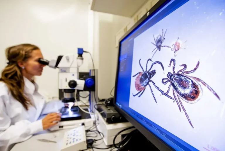 Suben las emergencias por picaduras de garrapatas este verano en EE.UU.