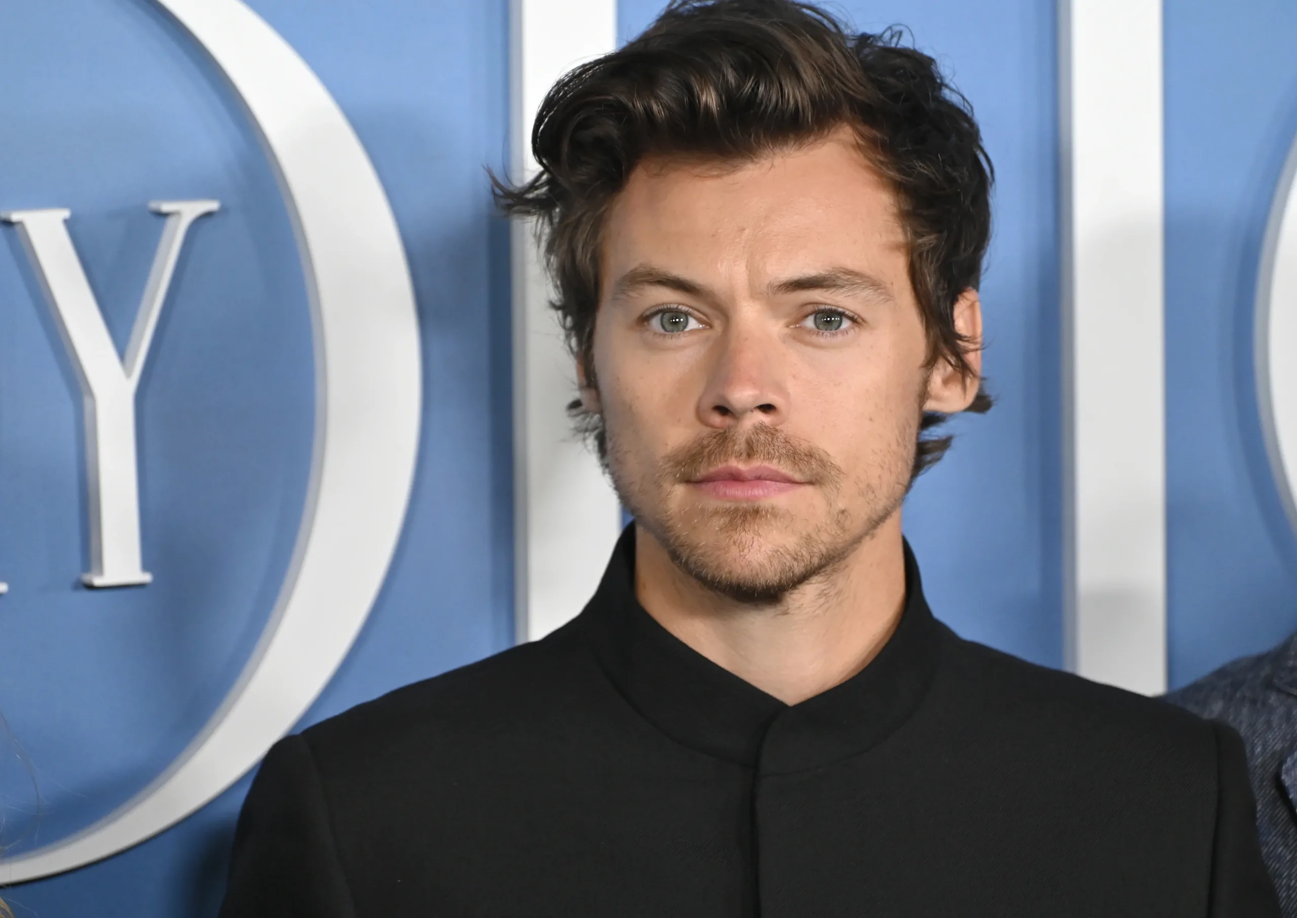 Harry Styles lanza su propia línea jueguetes sexuales