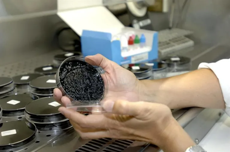 Alerta en Nueva York: ¿Qué es la enfermedad del legionario?