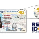 ¿Cómo renovar tu licencia si tienes TPS? Esto debes saber