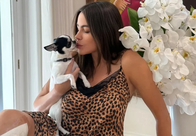 Sofía Vergara reaparece en redes tras grave operación