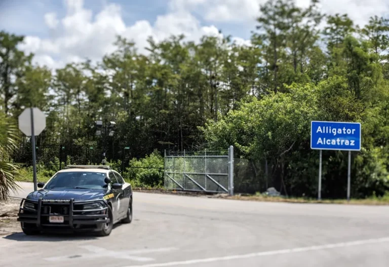 vuelos de deportación desde ‘Alligator Alcatraz’