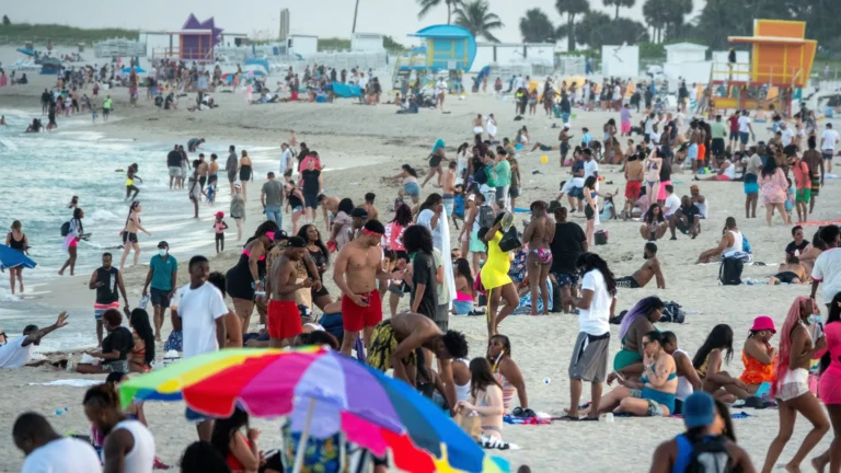 Esto debes saber sobre la bacteria carnívora