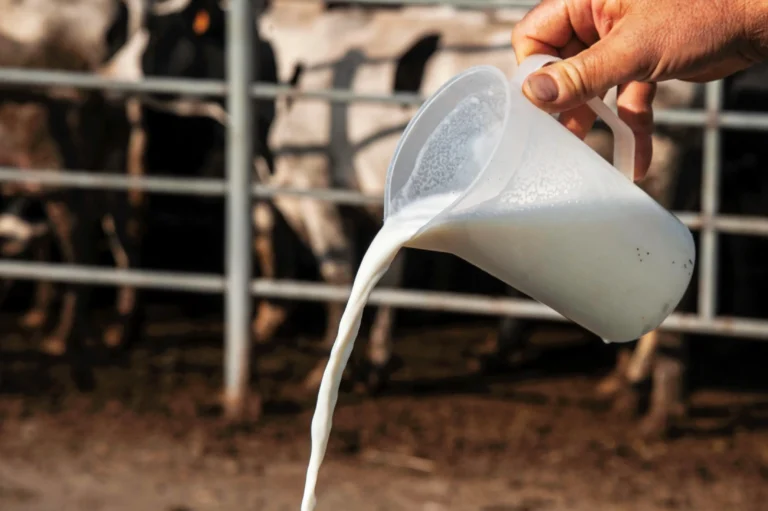 Florida alerta por leche cruda