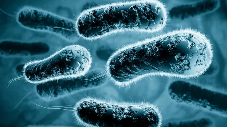 Alerta en EE.UU.: así actúa la bacteria comecarne