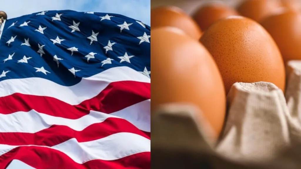 casos de salmonella ligados a huevos en