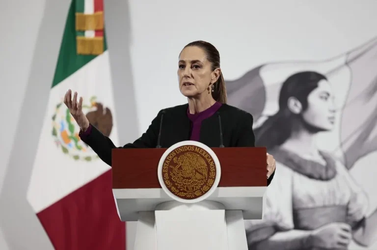 Polémica en México: senadora pide la intervención de EE.UU.