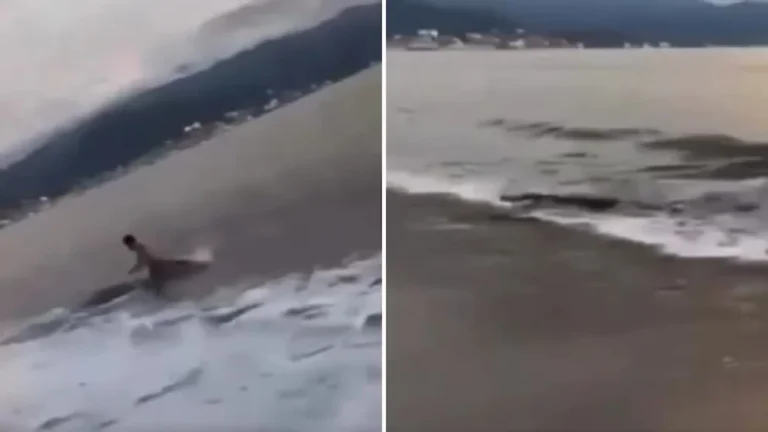 Ataque en Vallarta: Turista sobrevive al ataque de un cocodrilo en la playa