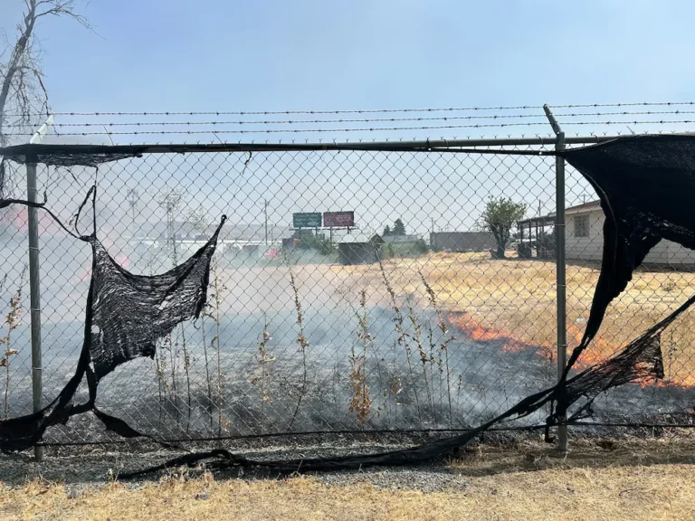 Washington: así fue el ataque a una instalación de ICE