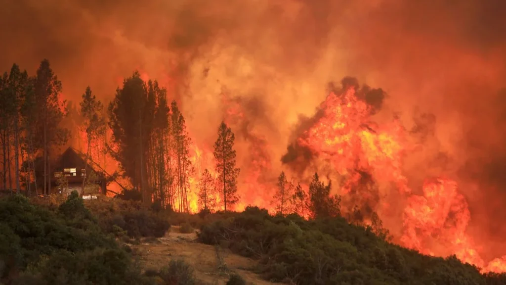 Incendio fuera de control en California: el calor no da tregua