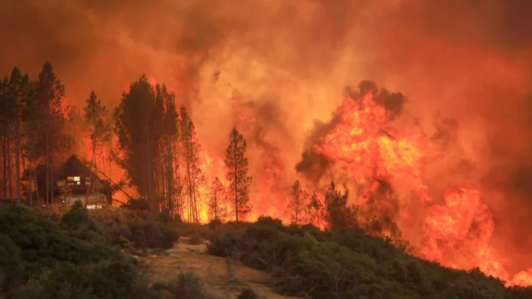 Incendio fuera de control en California: el calor no da tregua