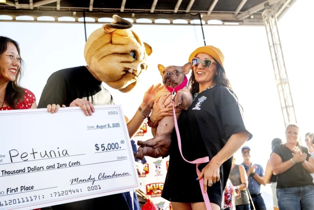 California premia al perro más feo del mundo: Conoce al ganador