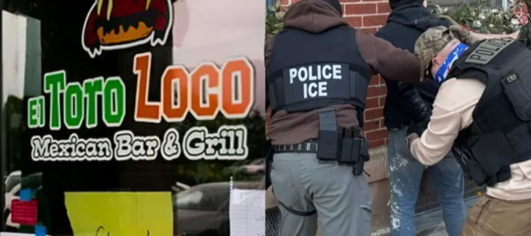 ¿Qué tipo de restaurantes están siendo blanco de ICE?