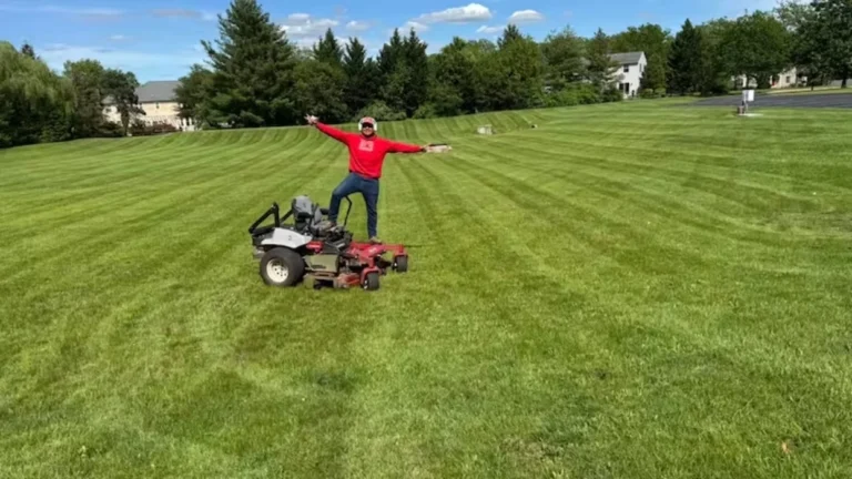 ¿Cómo conseguir tu primer trabajo como migrante en EE.UU.?