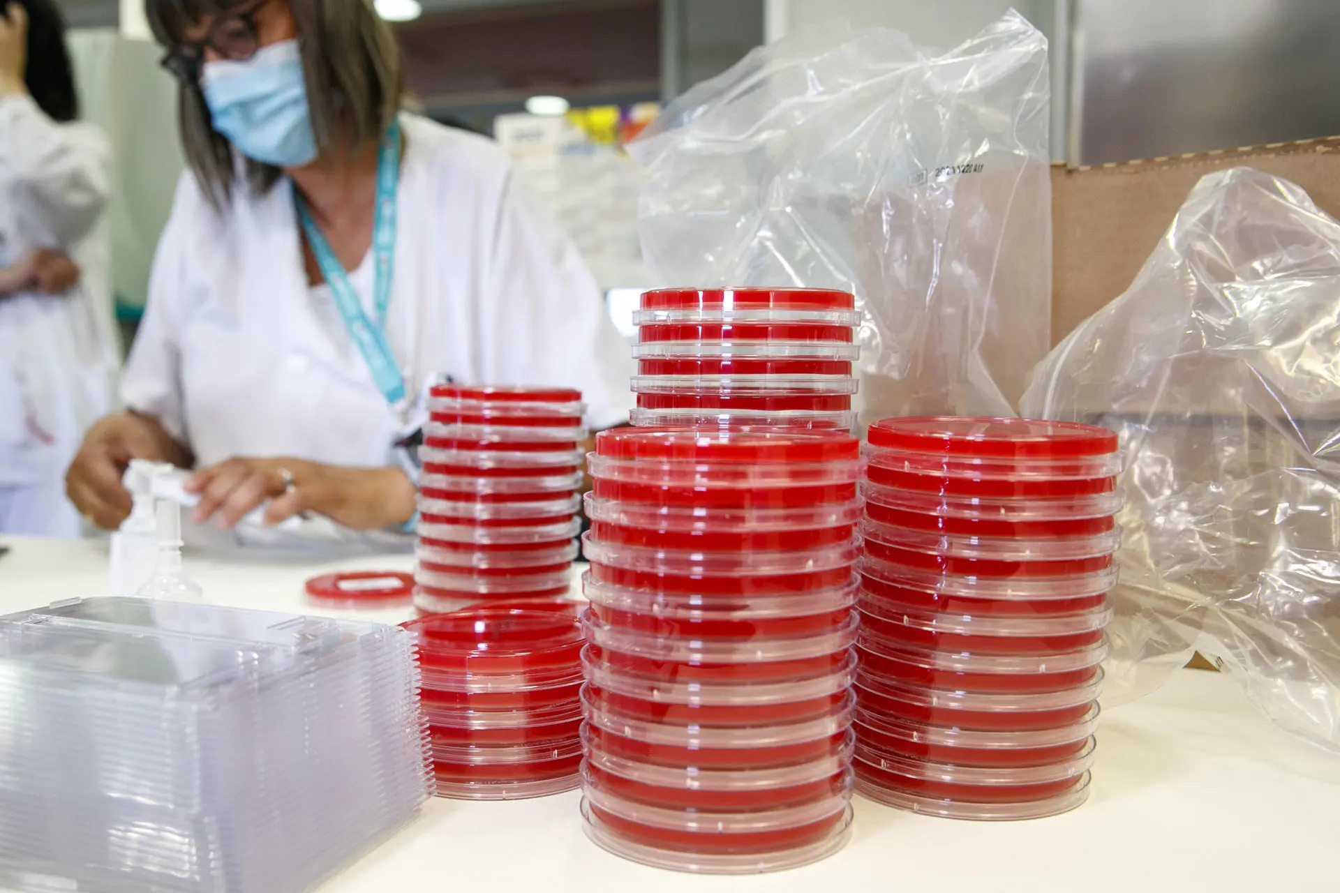 Brote masivo de sarampión