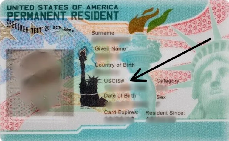 Número Alien: ¿Qué es el número de registro de extranjero?