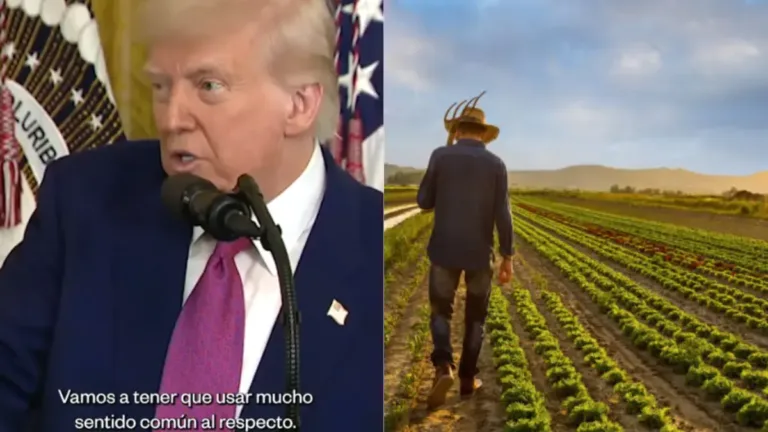 Trabajadores migrantes pierden ingresos bajo Trump