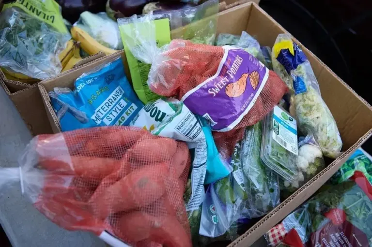 Estados demandan a Trump por cupones SNAP