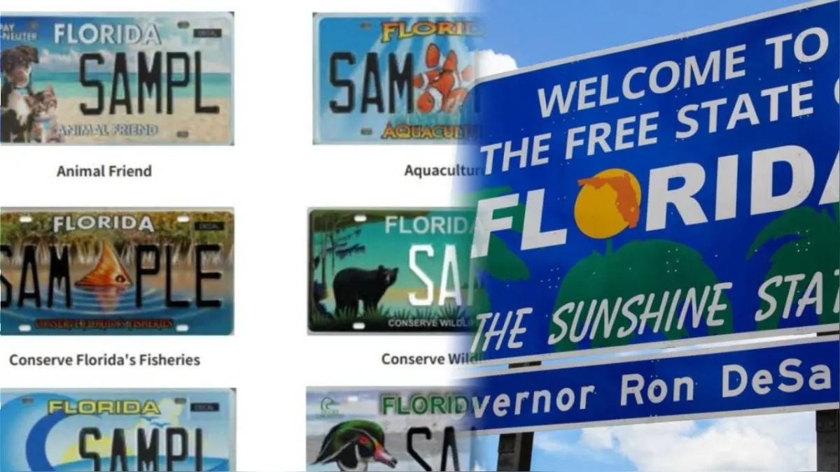 Florida actualiza su ley de placas