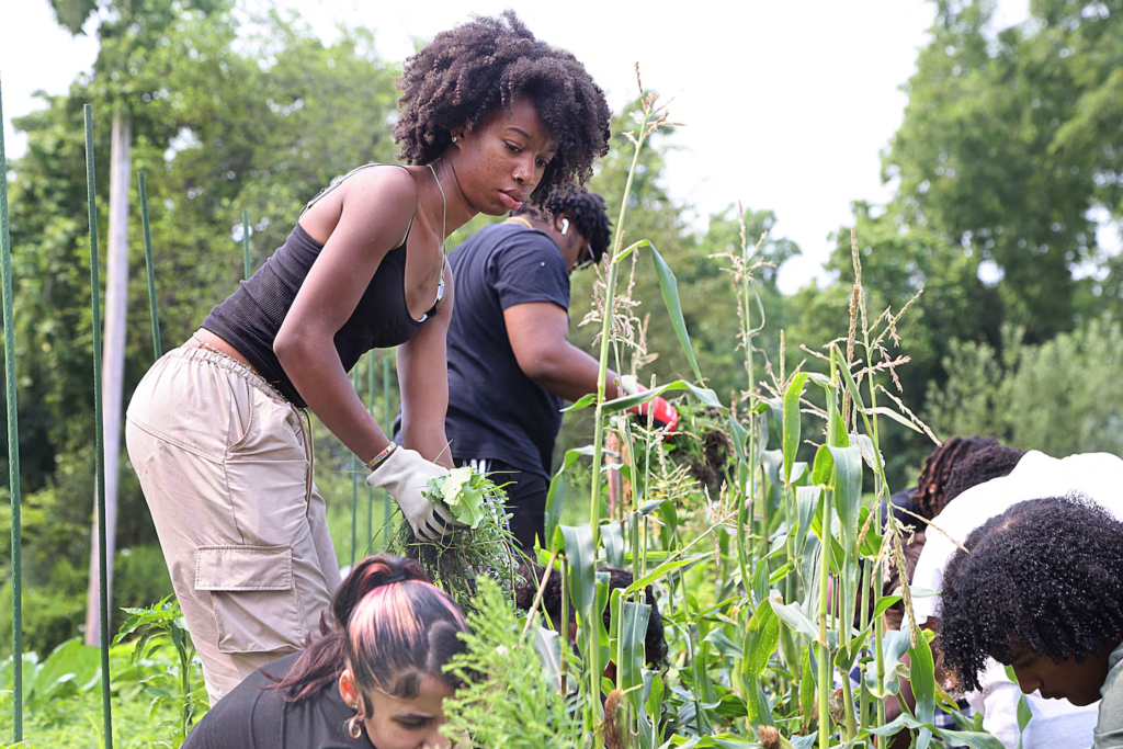 Latinos en Massachusetts: talleres gratuitos para emprendedores