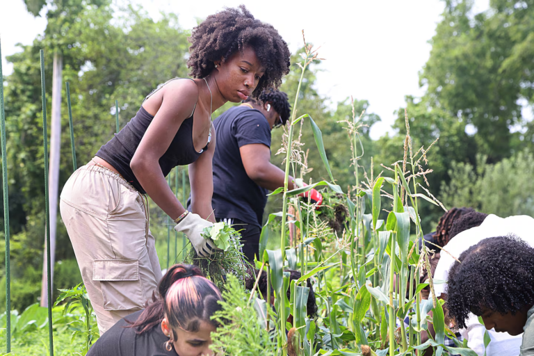 Latinos en Massachusetts: talleres gratuitos para emprendedores