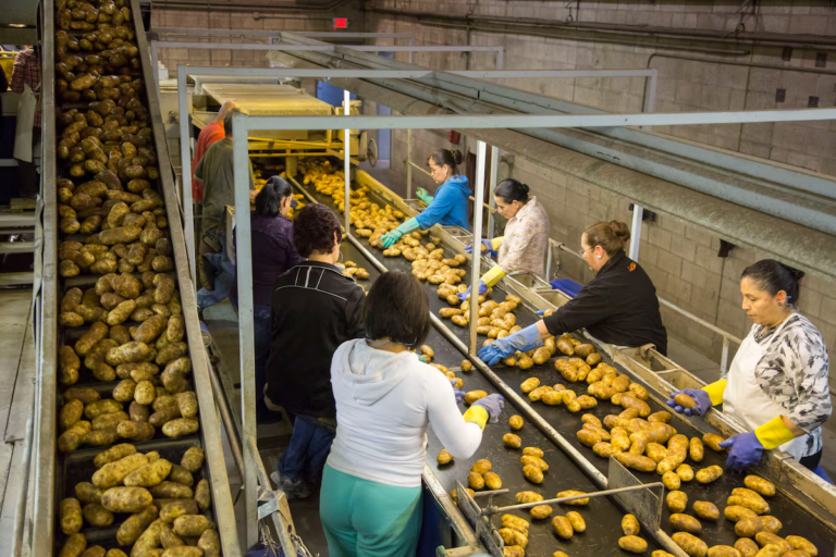 Ley en California busca cerrar la brecha salarial entre latinas