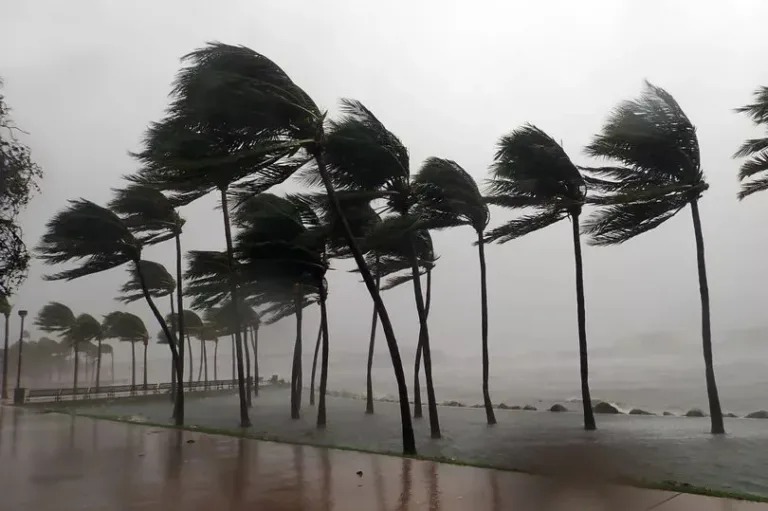 Tormenta Jerry