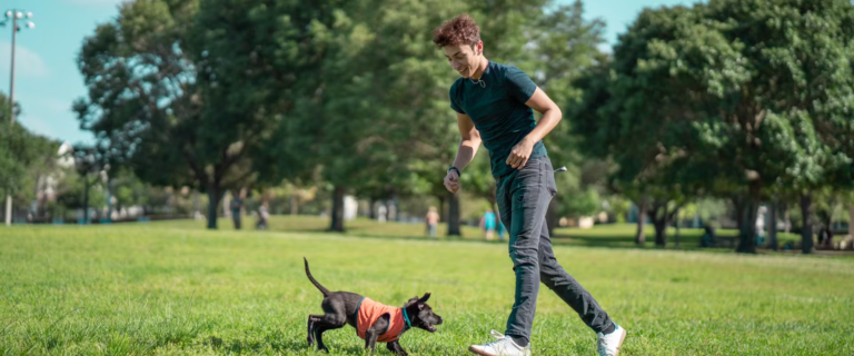 Iniciativa en Chicago ofrece paseos de perro para inmigrantes