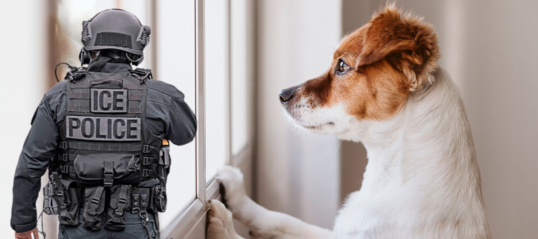 Inmigrantes usan perros para detectar redadas de ICE