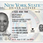 Licencia de conducir en Nueva York: ¿Cuánto costará obtenerla?