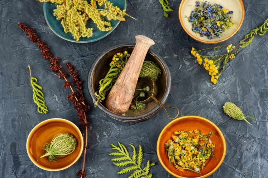 ¡Adiós al estrés! Ocho plantas naturales que te relajan