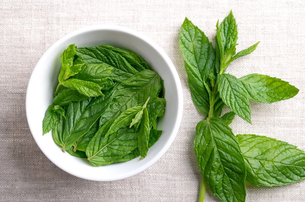 Té de hierbabuena: remedio natural para aliviar el dolor menstrual