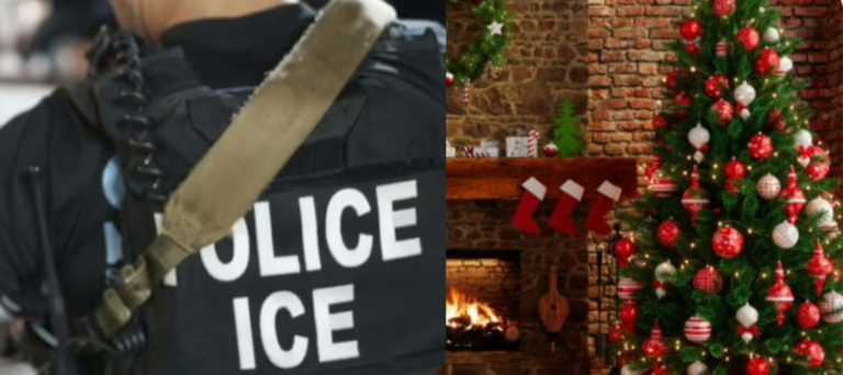 ¿Es seguro viajar en Navidad si eres inmigrante en EE. UU.?