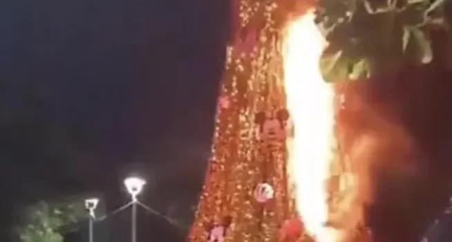 Árbol de navidad en Nayarit se incendia por pirotecnia