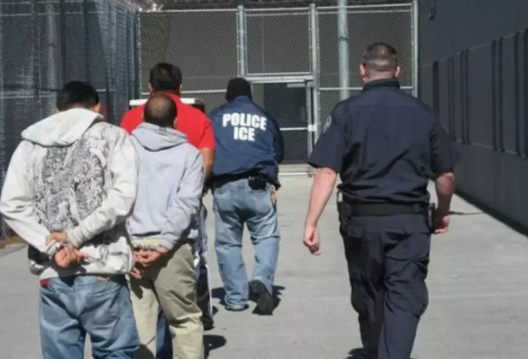 ICE causa pánico en Florida: Alertan sobre redadas masivas