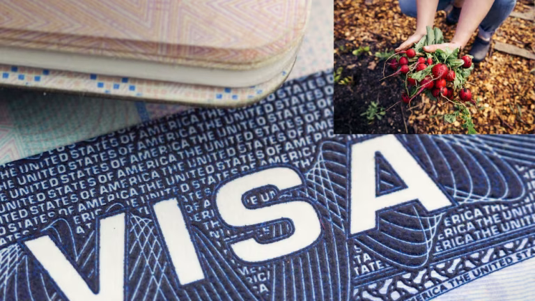 ¿Cómo obtener la visa H-2A en 2026? Conoce el paso a paso