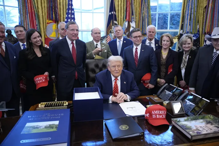 Elecciones intermedias 2026