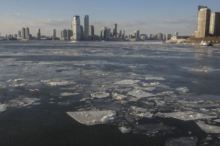 Nueva York: Ola de frío