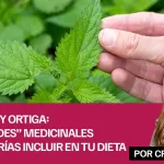 Moringa y ortiga: Dos "verdes" medicinales que deberías incluir en tu dieta