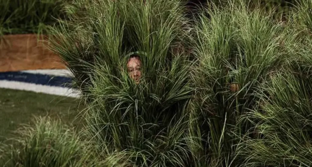 Bad Bunny: ¿Cuánto les pagaron a las "personas arbusto" en el Super Bowl?