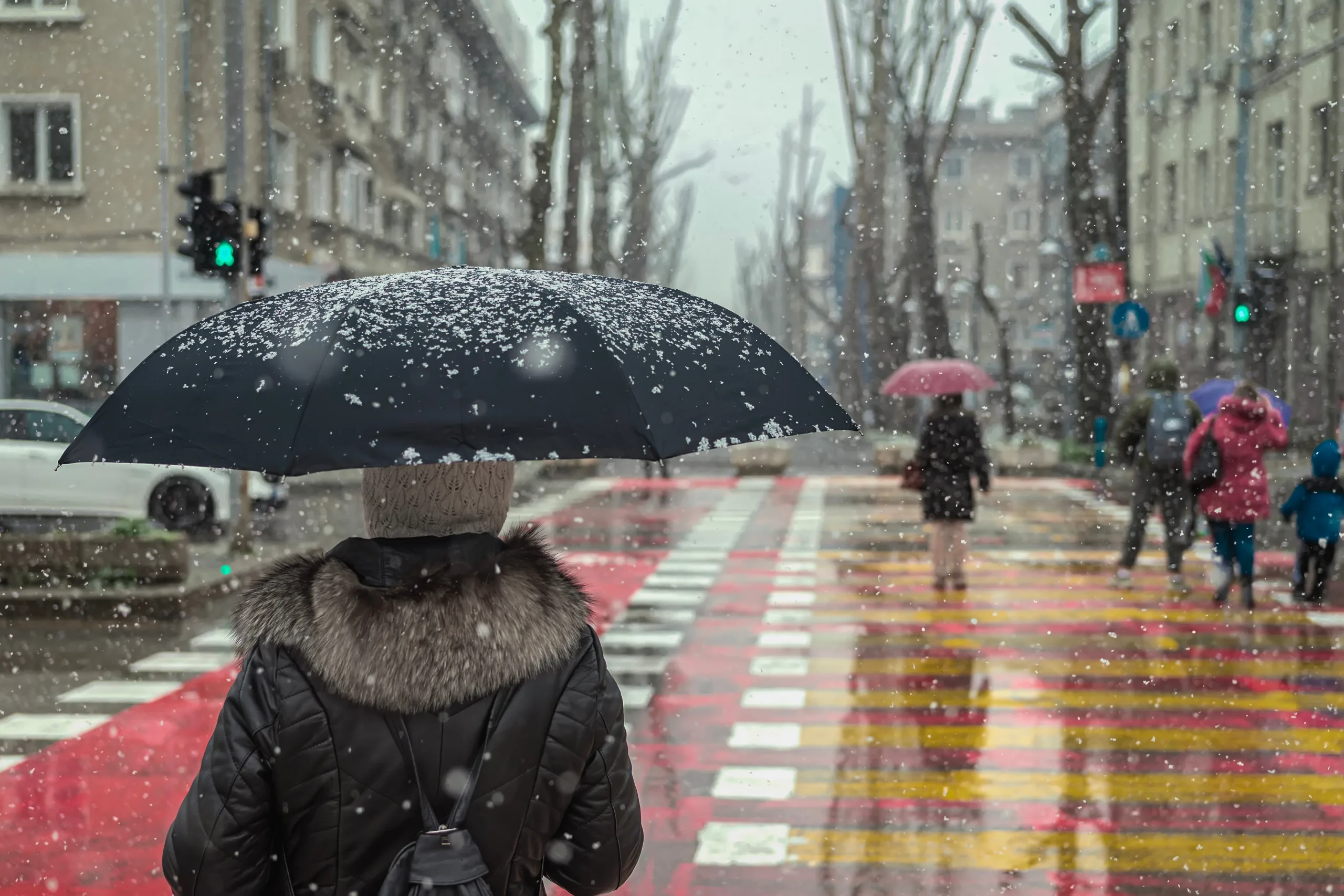 Florida se alista para heladas y posible nieve