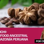 Sacha Inchi: el superfood ancestral de la Amazonía peruana