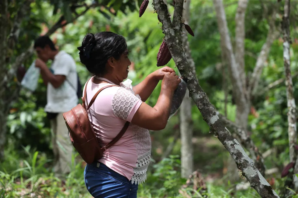 Gobernador de California apoya medida para rebautizar Día de César Chávez
