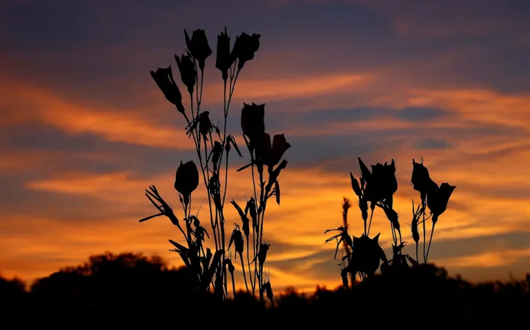 ola histórica en California