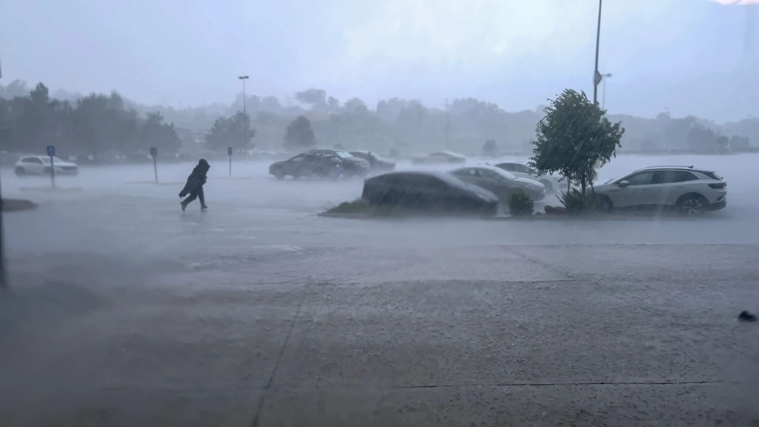 California: El Niño amenaza con lluvias y calor extremos