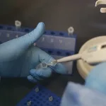 Emergencia en USA: Refuerzan vigilancia por el hantavirus